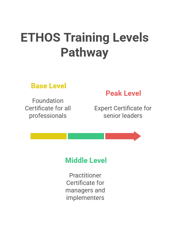 Assessment Flow: 3-step process from Assess (identify gaps) to Prioritize (focus efforts) to Implement (take action)